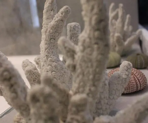 Apartamento J Luxury *