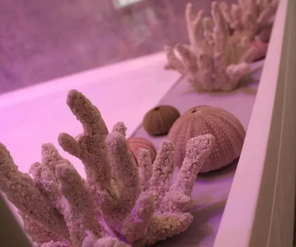 J Luxury Apartamento Tropea