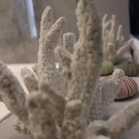 Lejlighed J Luxury *