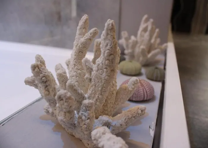 Apartamento J Luxury